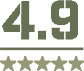 4.9 rating logo