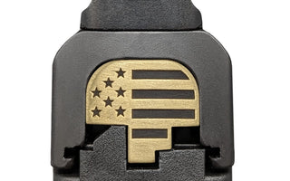 American flag S&W back plate